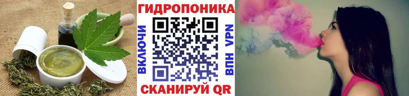 kraken как зайти  цены   Почеп  Canna-Cookies конопля 