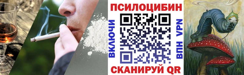 Галлюциногенные грибы мухоморы  цены наркотик  shop клад  Почеп 